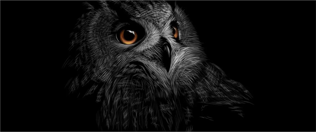 Tablou - Bufniță, ilustrație (120x50 cm)