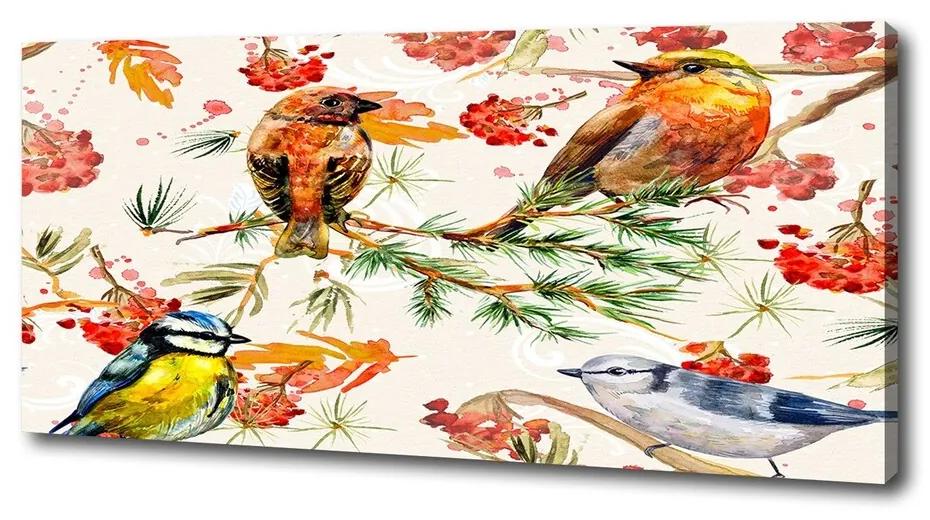 Tablou pe pânză canvas Conifere și păsări