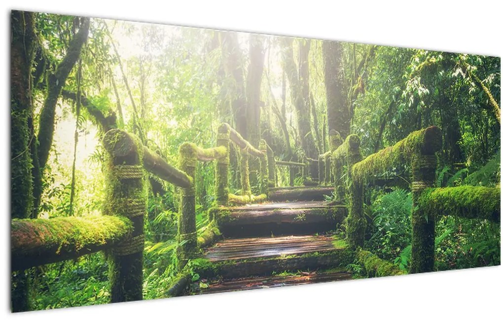Tablou - trepte din lemn în pădure (120x50 cm)