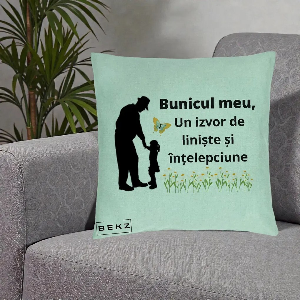 Cadou pentru Bunic - Perna Personalizata Bunicul Meu Izvor de Liniste cu Fluture si Fetita, 40x40 cm, Verde Menta, Husa Detasabila, Perna Inclusa, BEKZ®