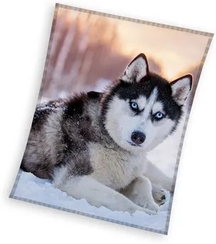 Câine Husky pătură coral fleece 150x200cm