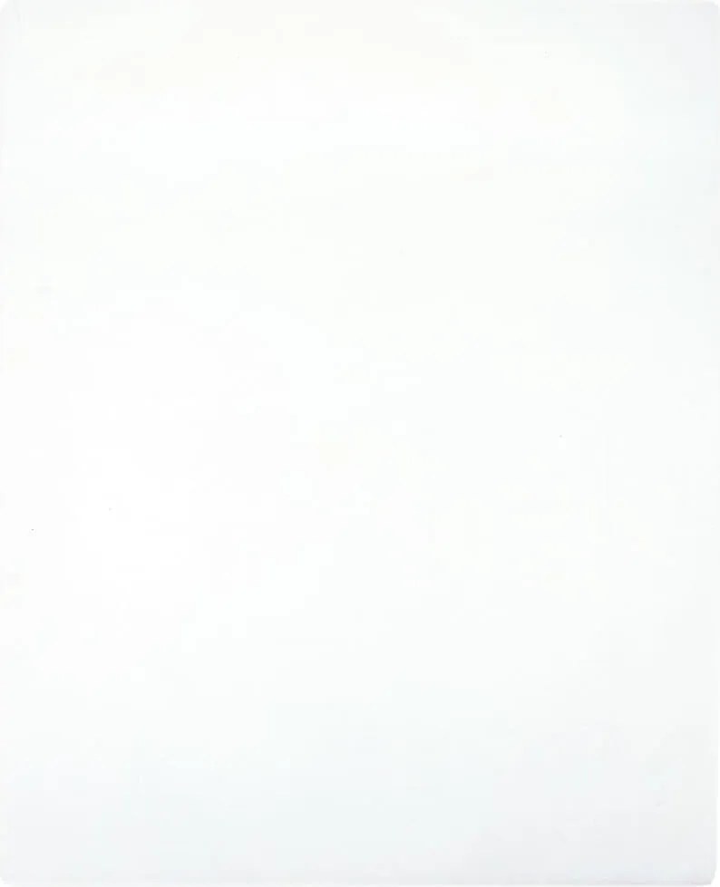 vidaXL Cearșaf de pat cu elastic, 2 buc, alb, 180x200 cm, bumbac