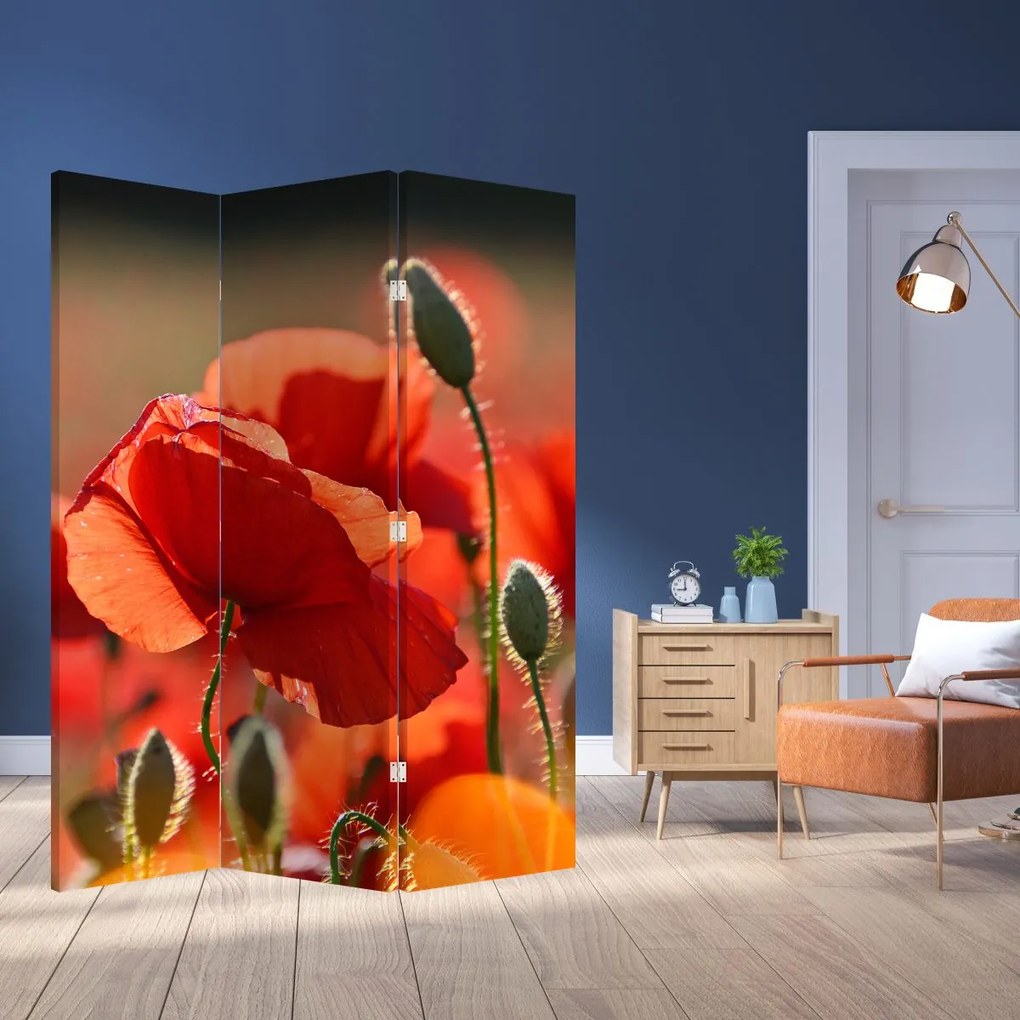 Paravan - Flori de maci (126x170 cm)