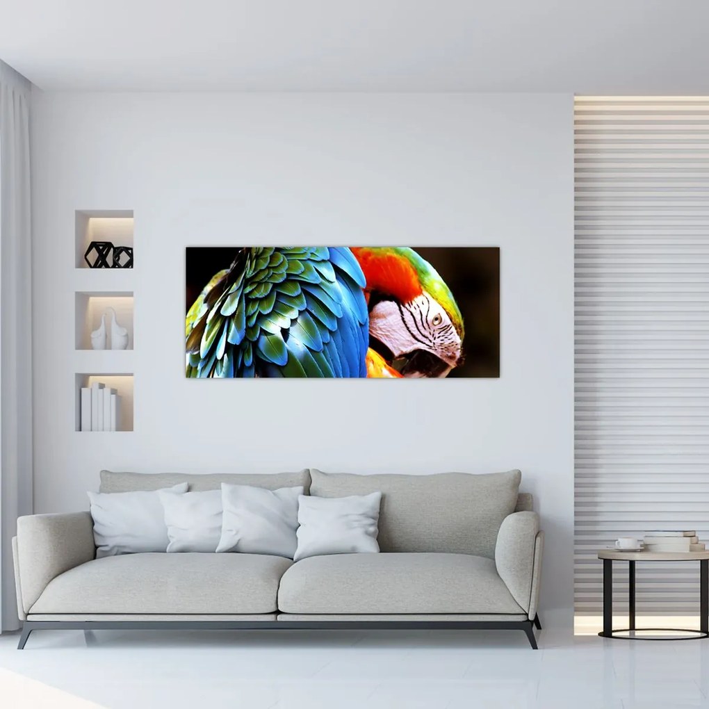 Tablou - Papagal (120x50 cm)