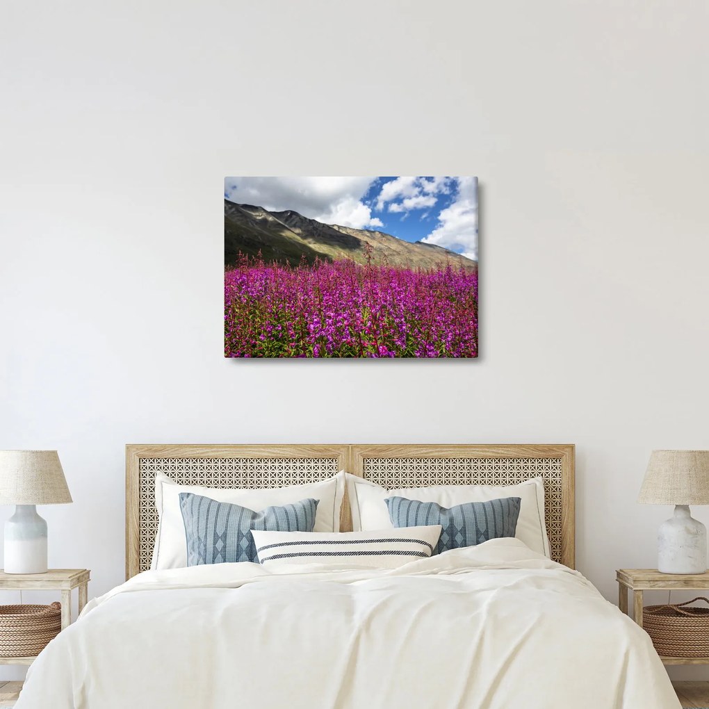 Tablou sceneriei cu lunca montană (70x50 cm)