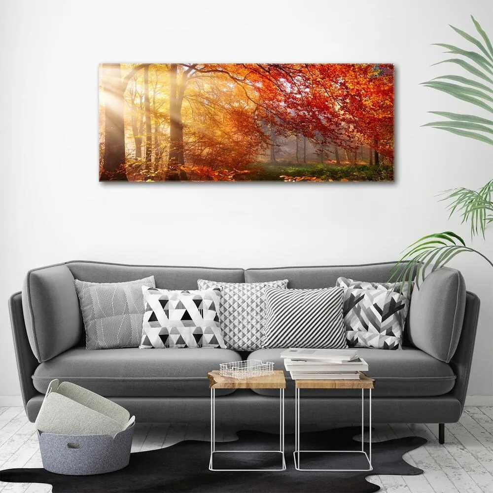 Imprimare tablou canvas Pădure de toamnă