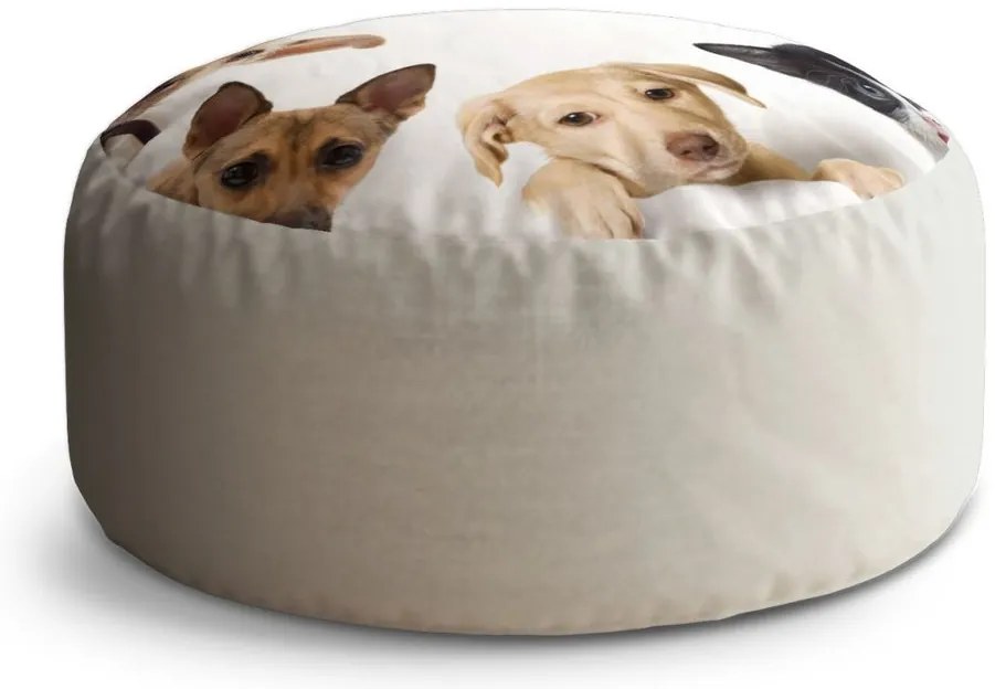 Taburet Circle cățeluși și pisicuțe, bej