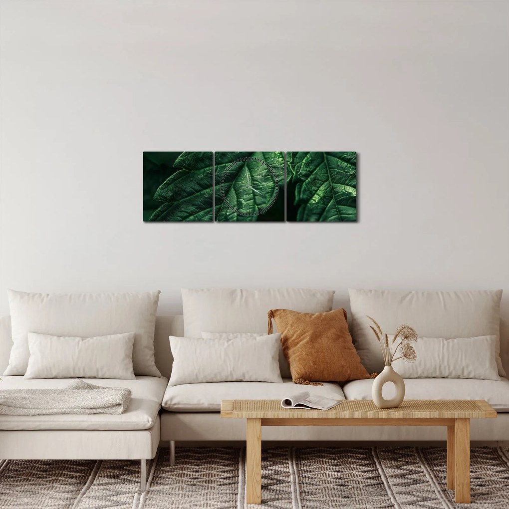 Tablou - Detaliu al foii (cu ceas) (90x30 cm)
