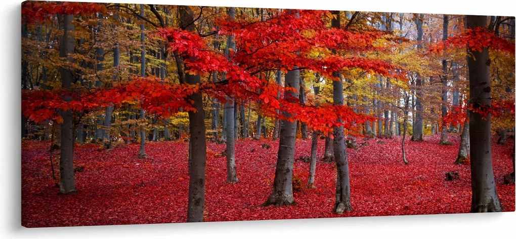 Tablou - Pădurea roșie (120x50 cm)