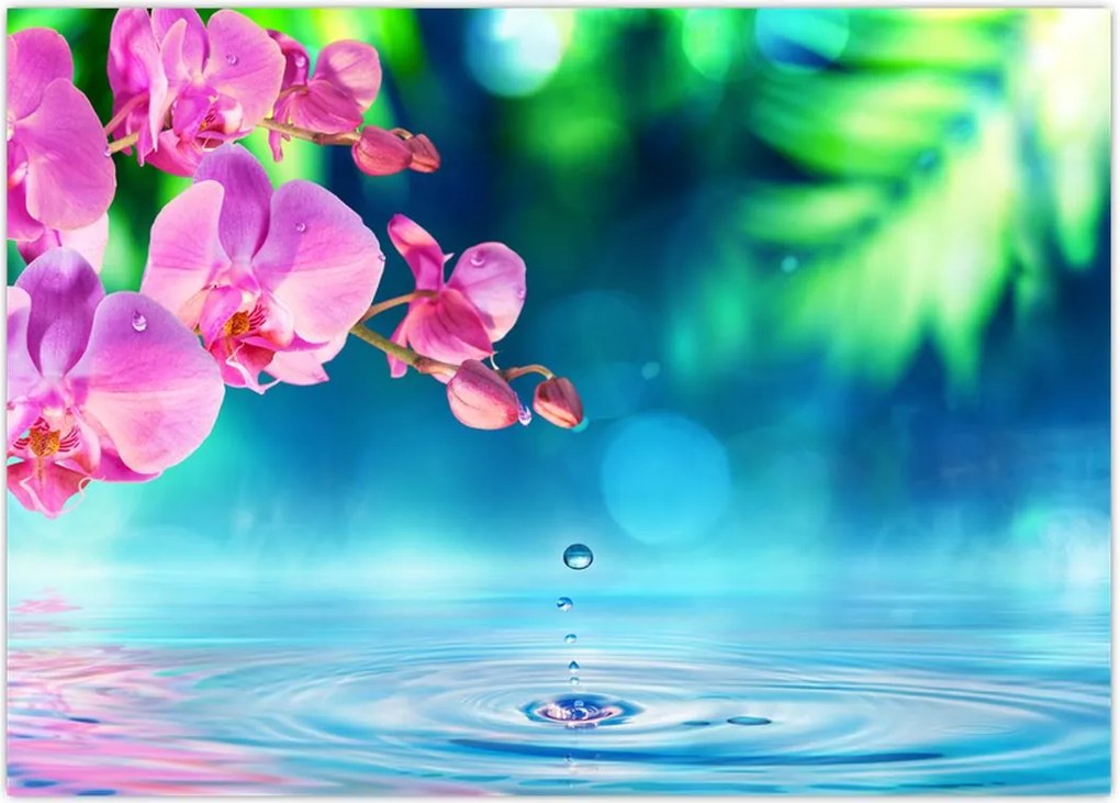 Tablou - Orhidee (70x50 cm)