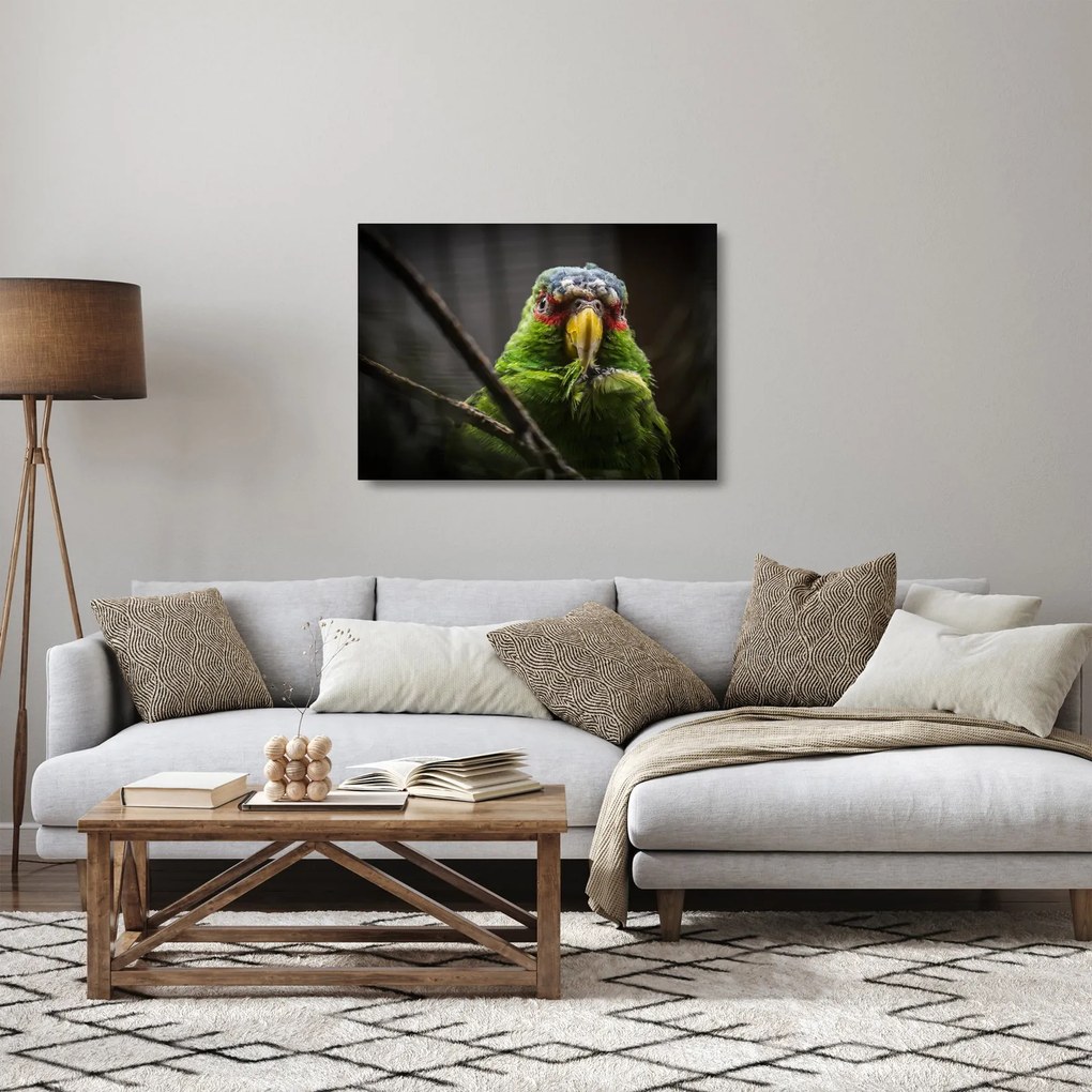 Tablou pe sticlă cu papagal (70x50 cm)