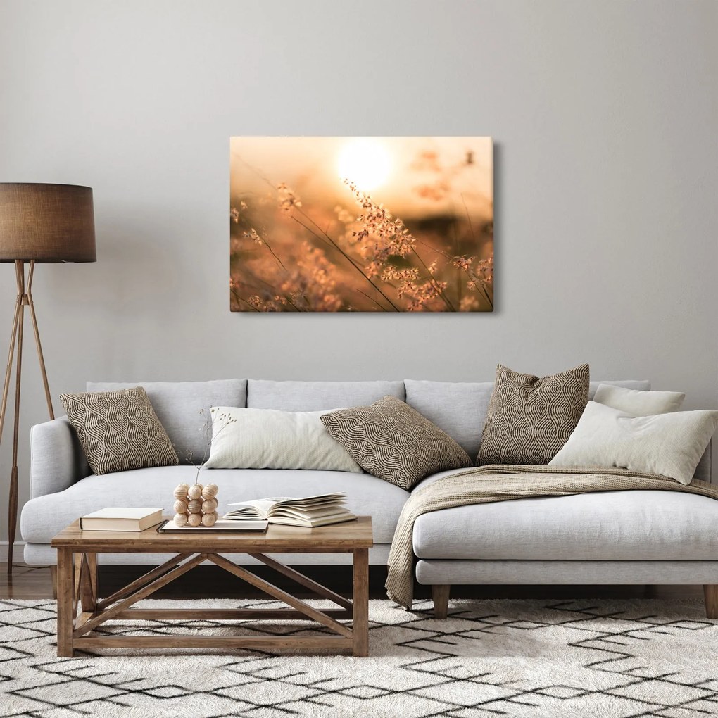 Tablou - Iarbă la soare (90x60 cm)