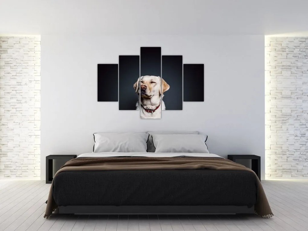 Tablou cu labrador (150x105 cm)