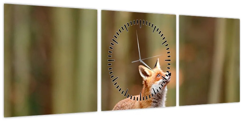 Tablou - Vulpe (cu ceas) (90x30 cm)