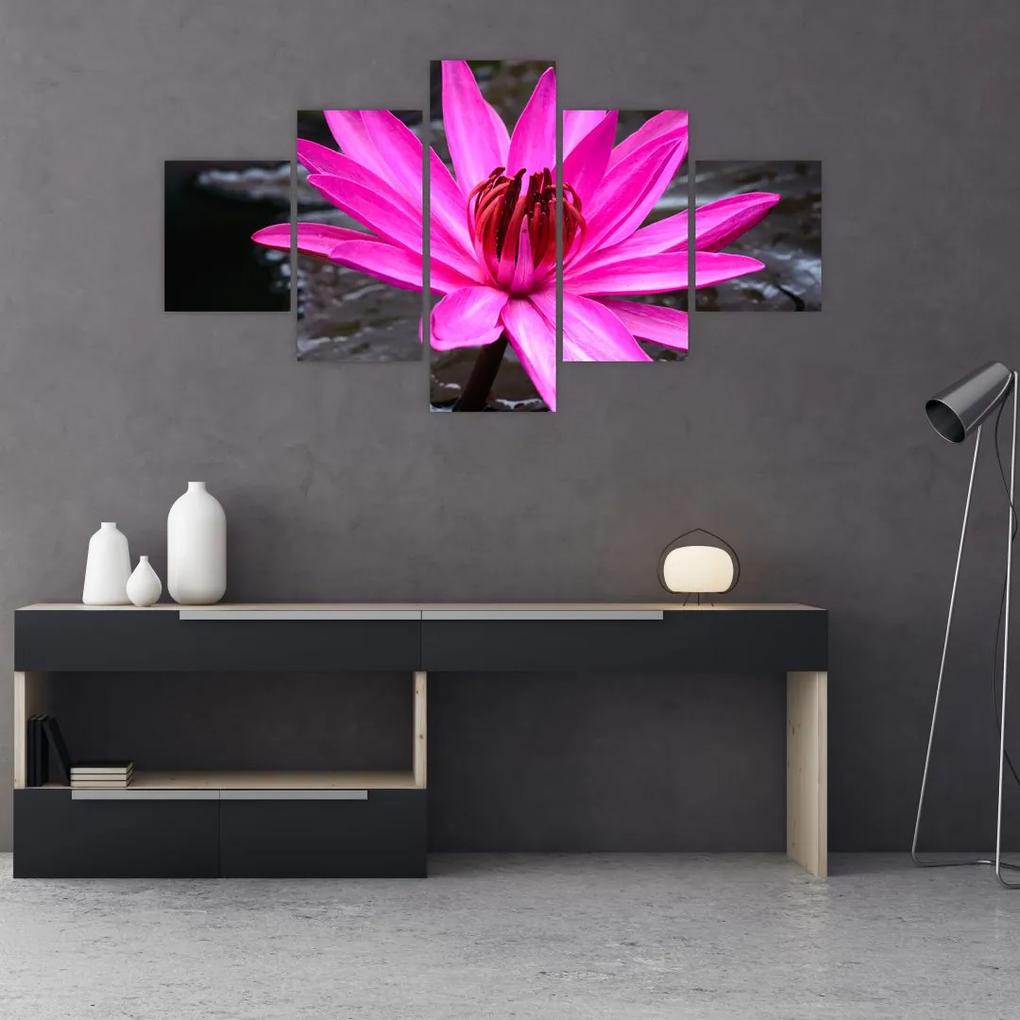 Tablou - floarea roz (125x70 cm), în 40 de alte dimensiuni noi