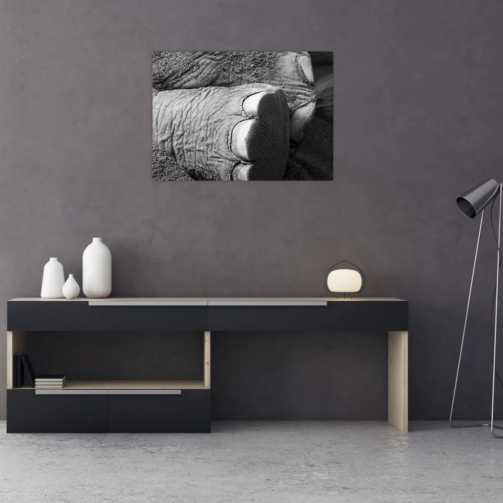 Tablou pe sticlă - Picior de elefant (70x50 cm)