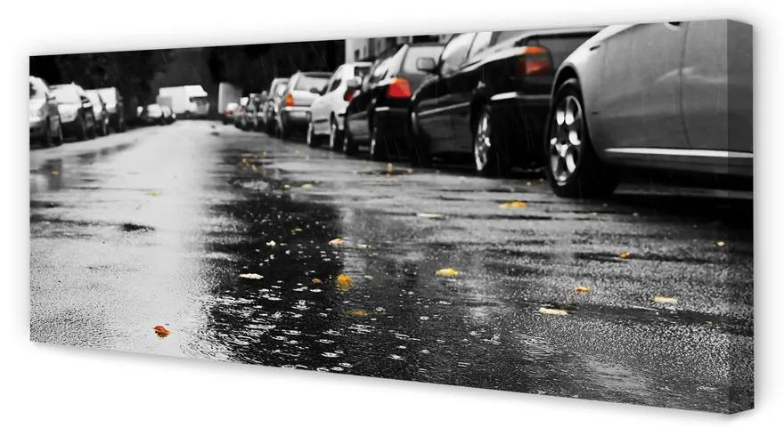 Tablouri canvas Mașină rutier frunze de toamna