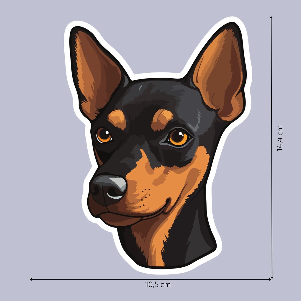 PIPPER. Autocolant Pinscher miniatural mărimea: 60cm