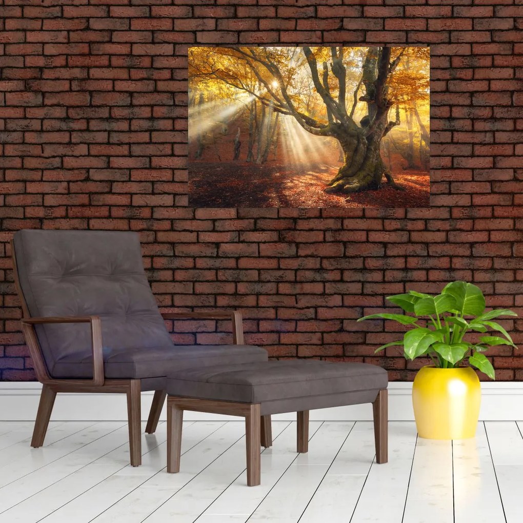 Tablou - Lumina de toamnă (90x60 cm)