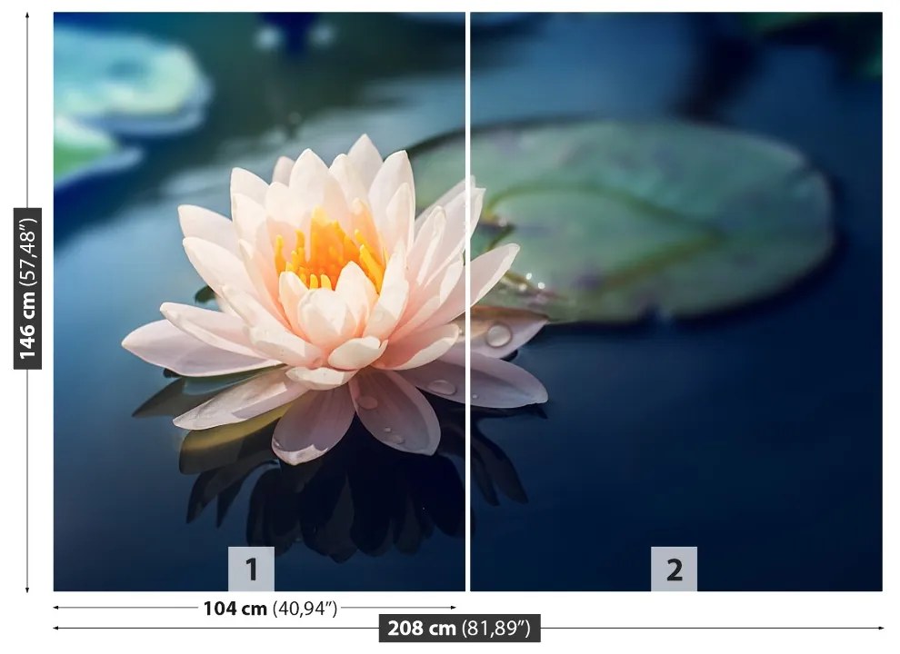 Fototapet Lotus Flower Pond