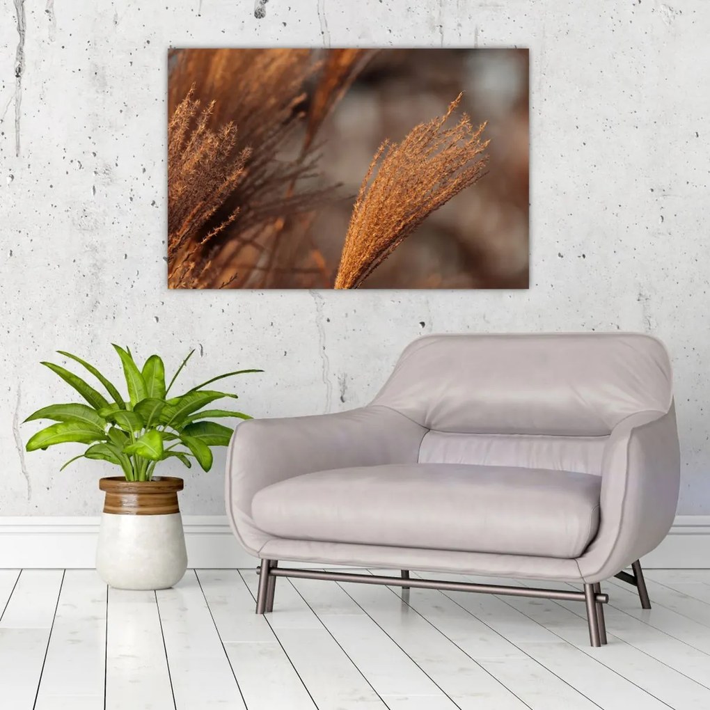 Tablou - Cortaderie (90x60 cm)