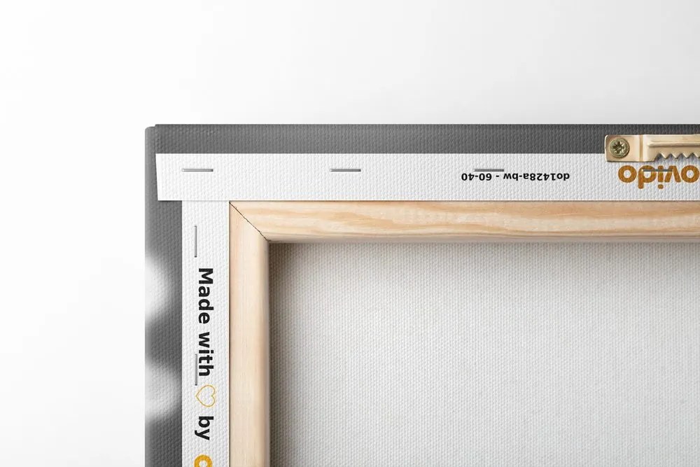 Tablou flori de vară în design alb-negru