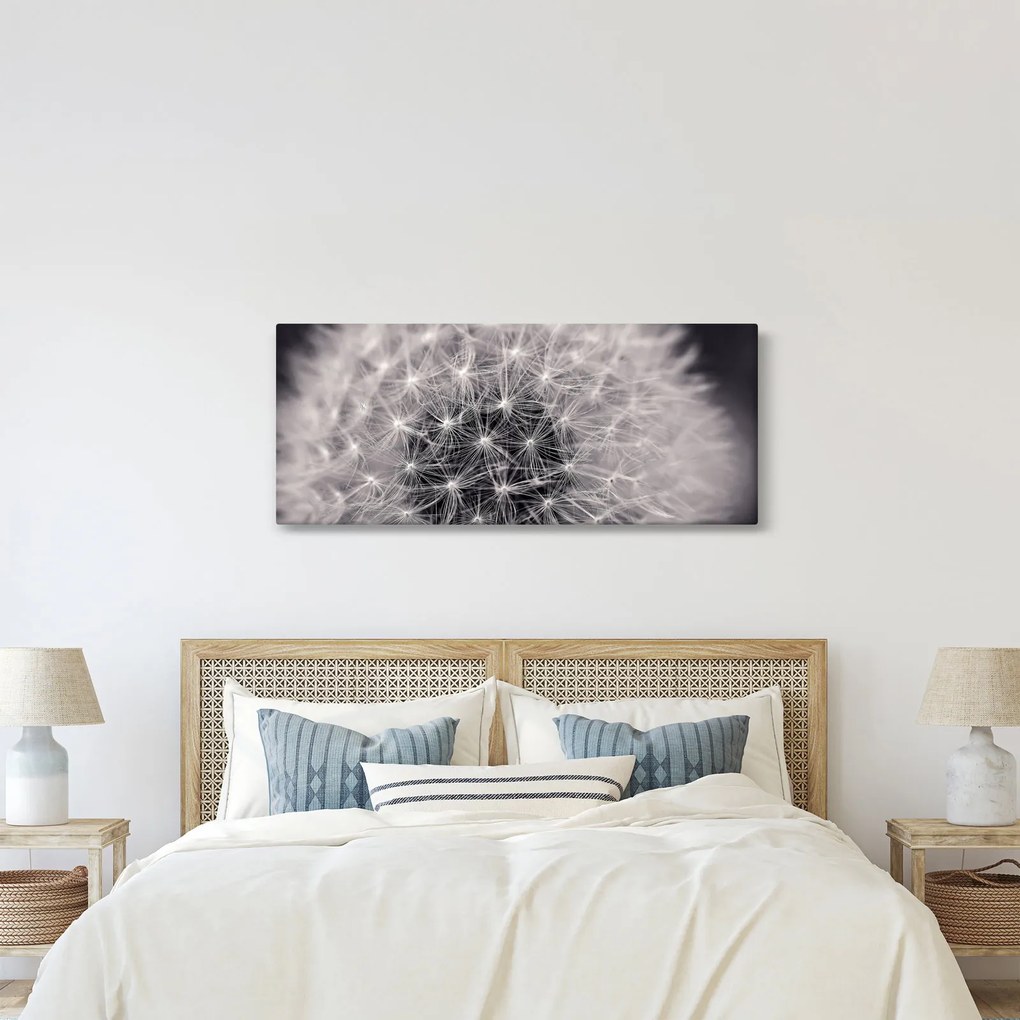 Tablou cu păpădie (120x50 cm)