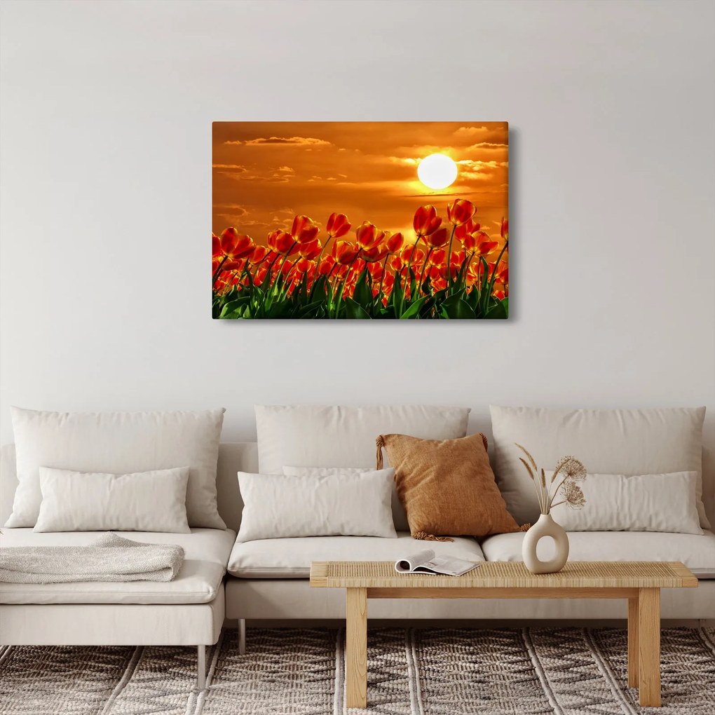 Tablou - lan înflorit de lalele (90x60 cm)