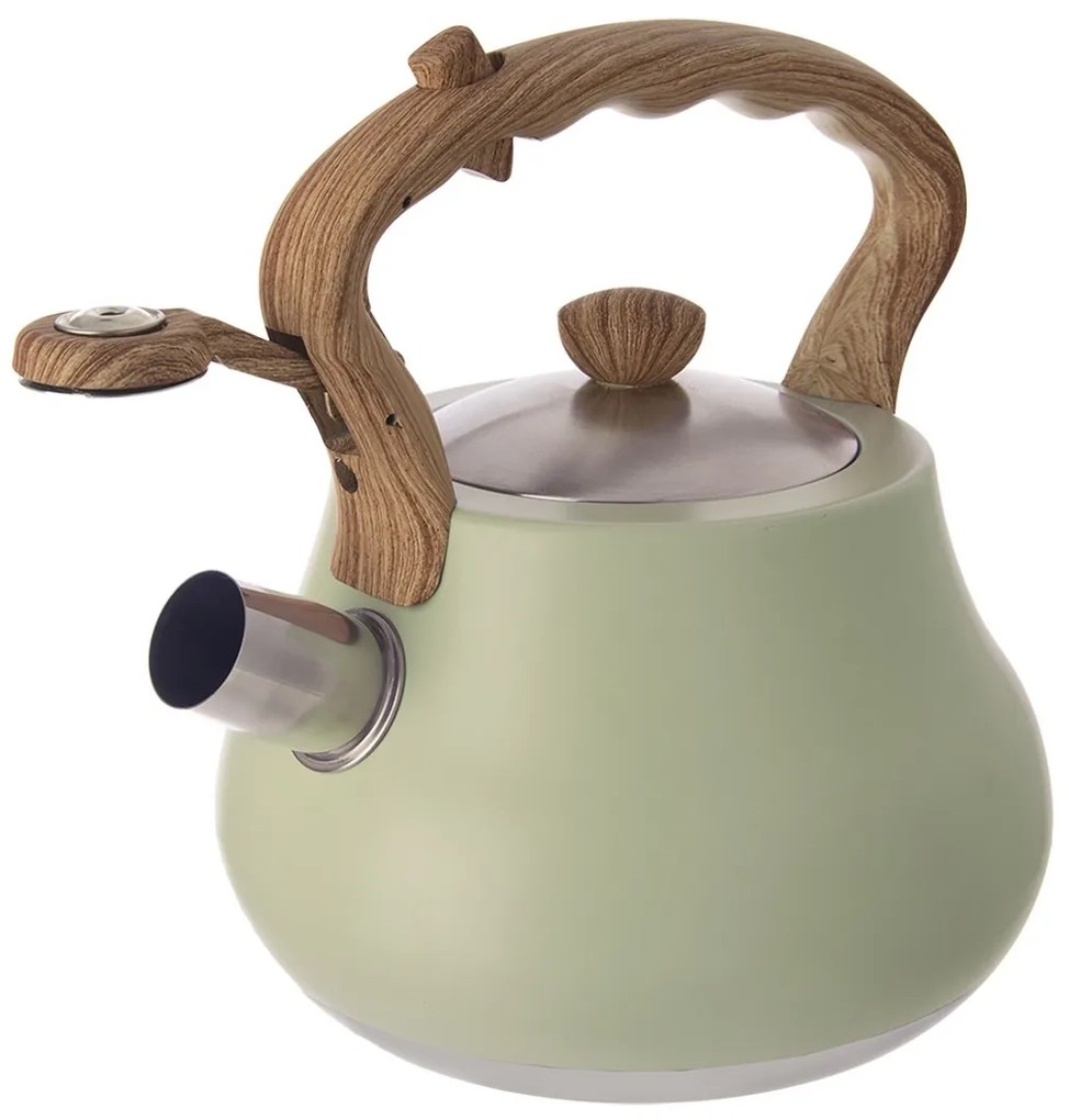 Orion Ceainic cu fluier Greenish, 3 l
