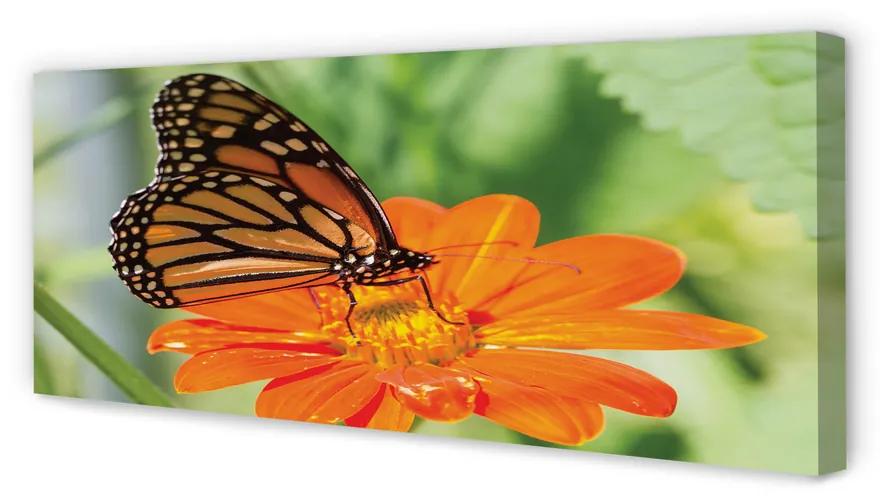 Tablouri canvas Floare fluture colorat