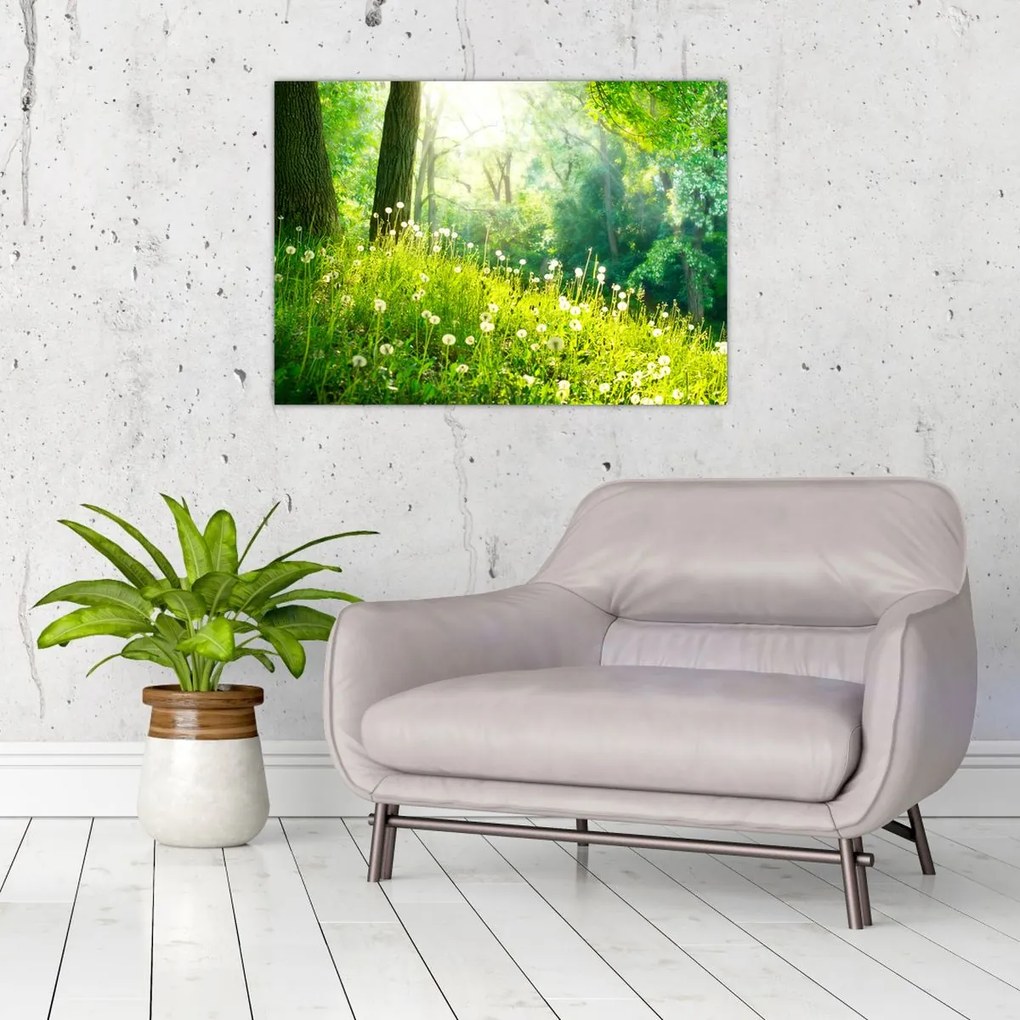 Tablou pe sticlă - Pajiște magică plină de păpădii (70x50 cm)
