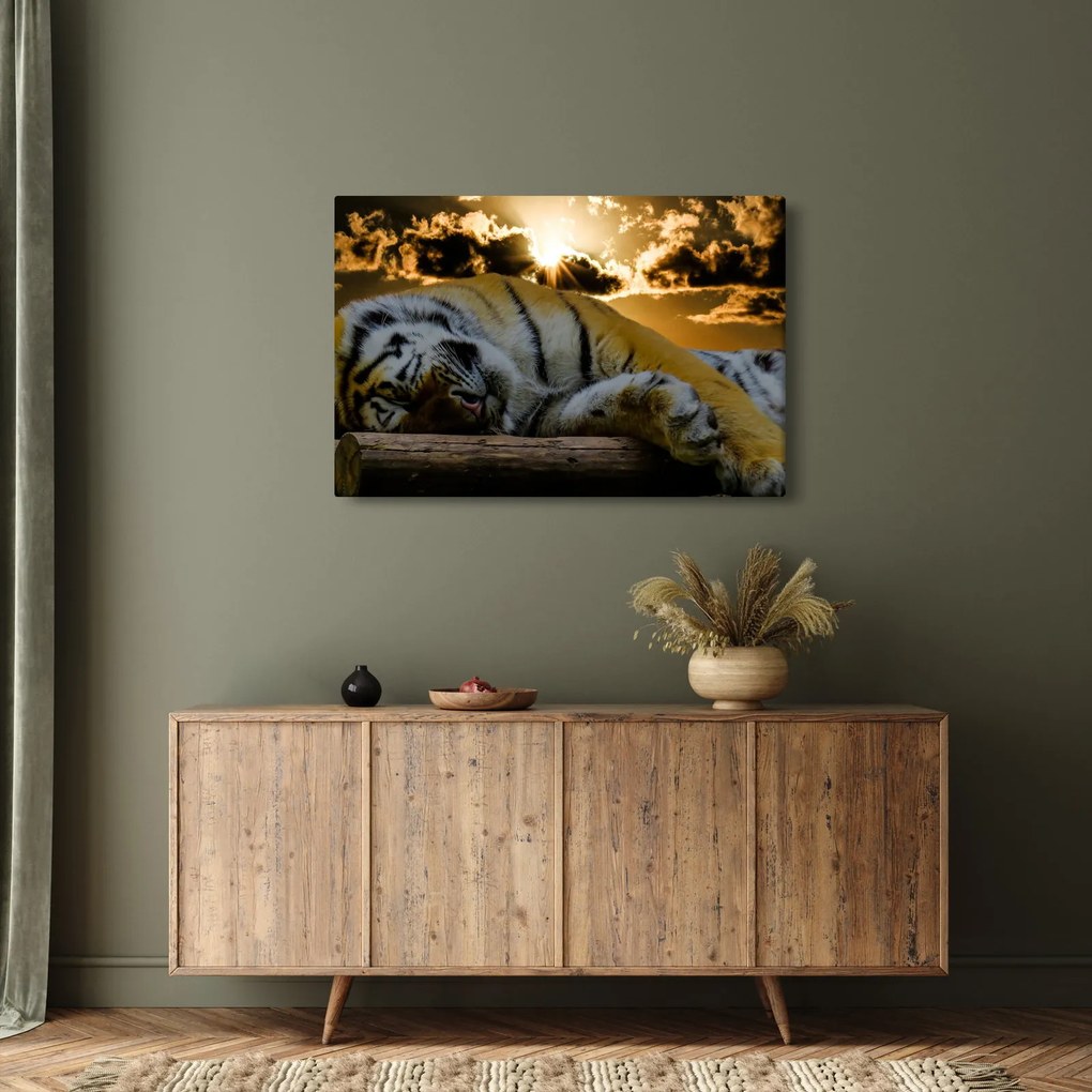 Tablou tigrul dormind (90x60 cm)