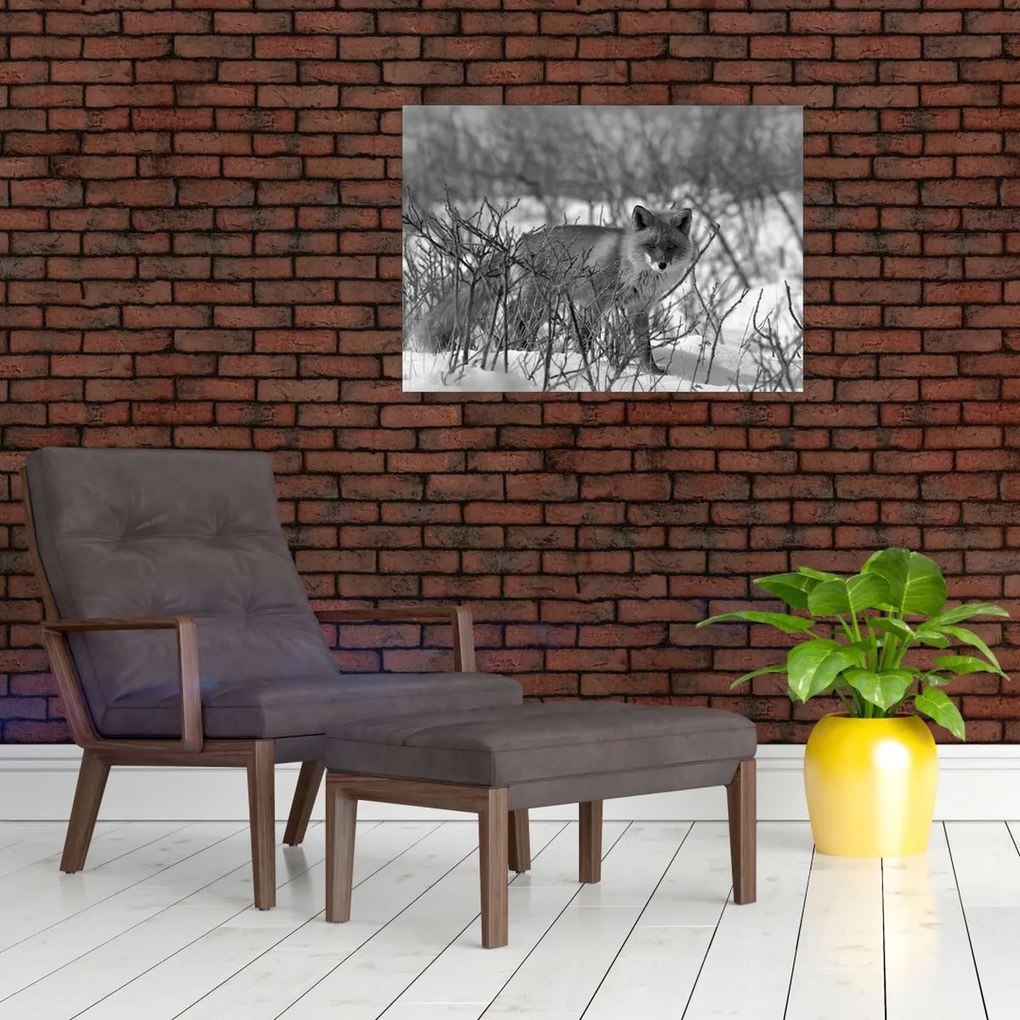 Tablou pe sticlă - Vulpe în timpul iernii (70x50 cm)