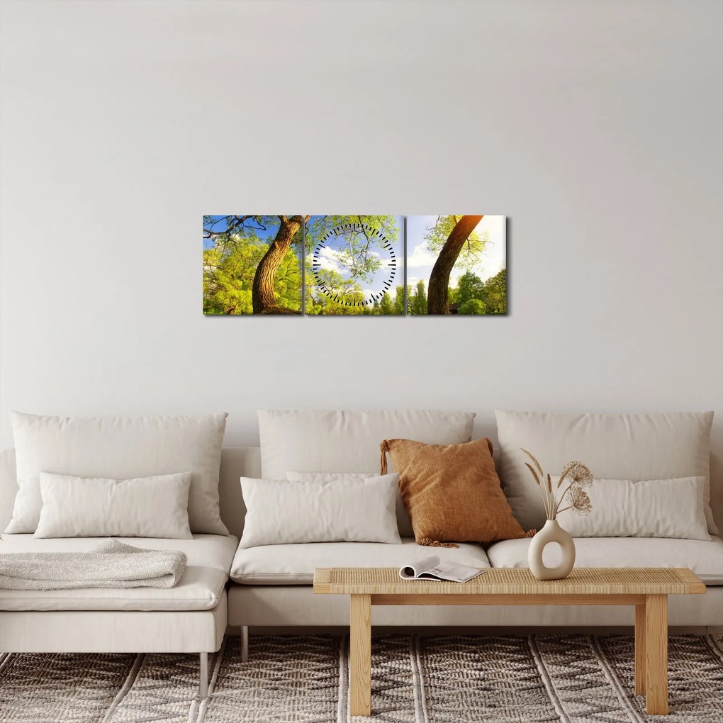 Tablou lunca ne primăvară (cu ceas) (90x30 cm)