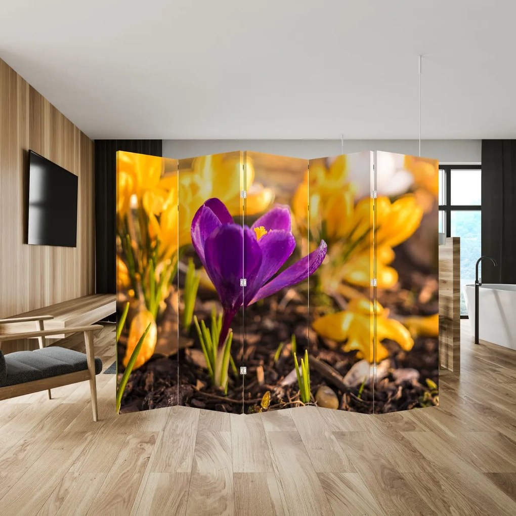 Paravan - Floare violetă (210x170 cm)