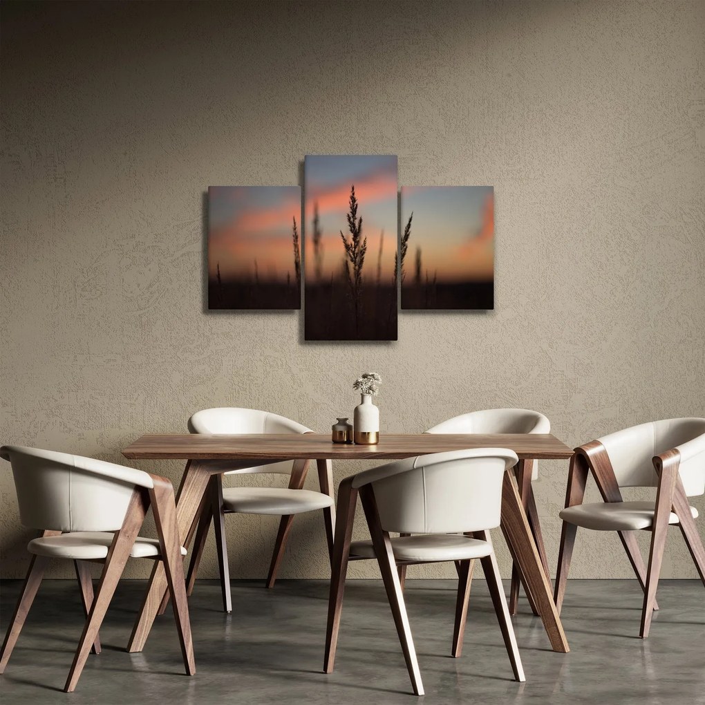 Tablou - Silueta plantei (90x60 cm)