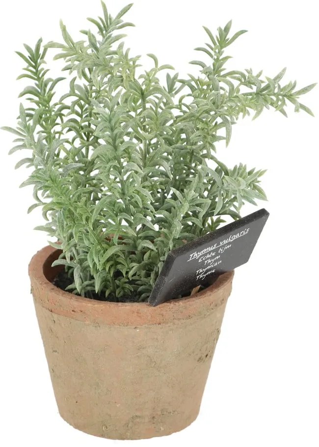 Plantă artificială (înălțime 21,5 cm) Thyme – Esschert Design