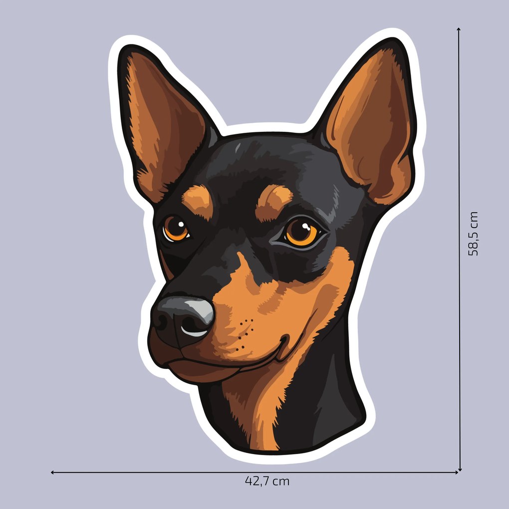 PIPPER. Autocolant Pinscher miniatural mărimea: 60cm