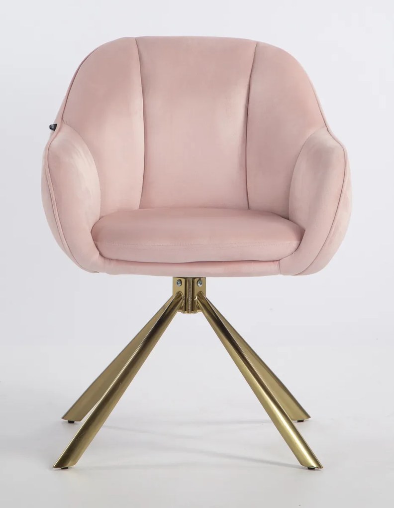 HR2055 BAZĂ STEA Scaun Roz Pudra din Catifea cu Bază Aurie