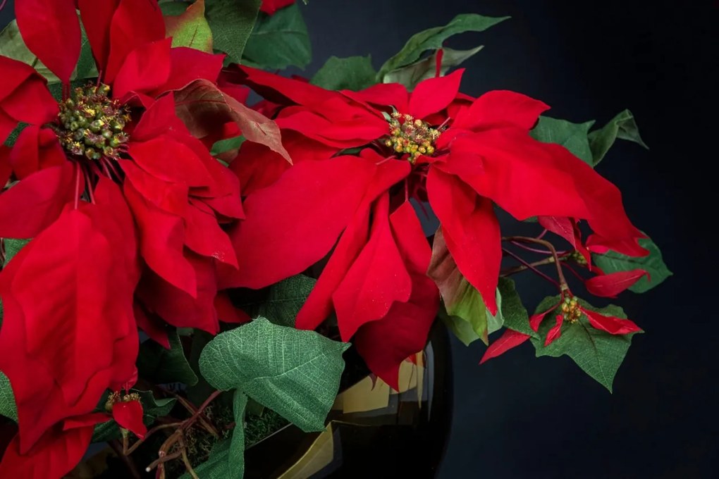 Aranjament floral mare decor festiv design LUX ALICE RED STAR H-105cm