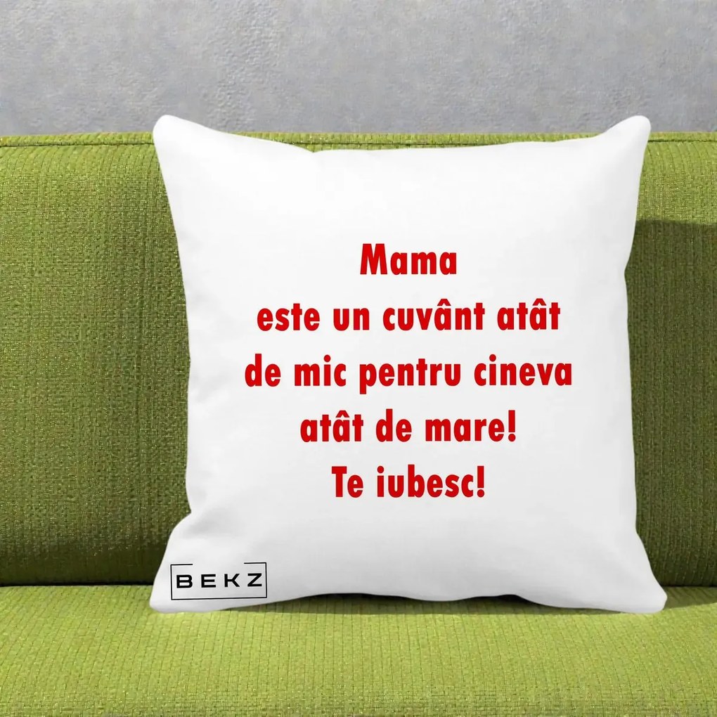 Cadou pentru Mama - Perna Personalizata Mama Cuvant Mic, 40x40 cm, Alba Mata, Husa Detasabila, Perna Inclusa, BEKZ®