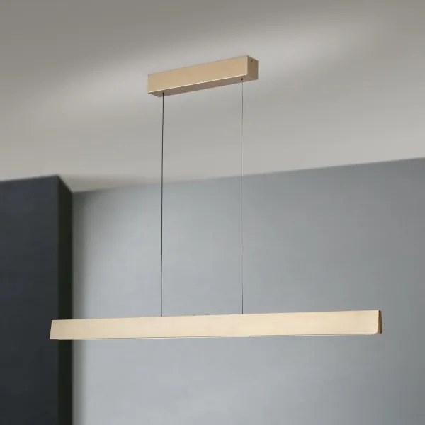 Lustră LED dimabilă pe cablu Orion HL 6-1716/120 TARA LED/44W/230V auriu