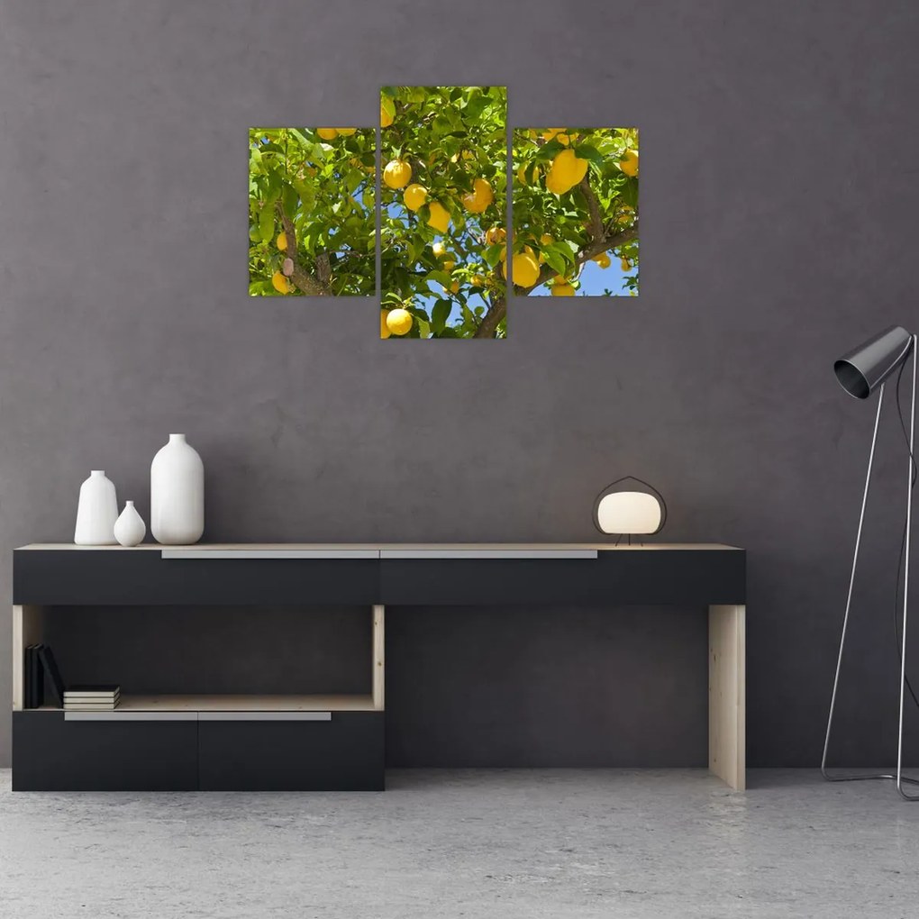 Tablou - Lămâiță (90x60 cm)