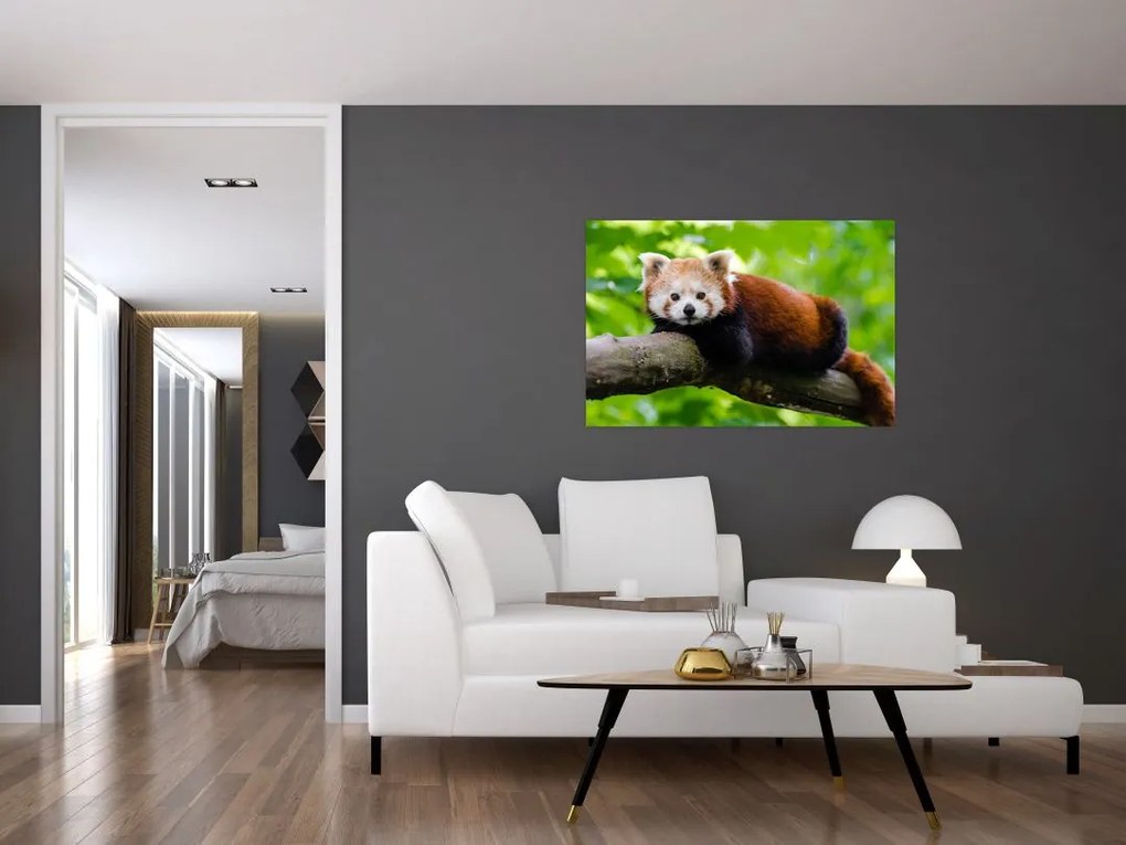 Tablou cu panda roșie (90x60 cm)