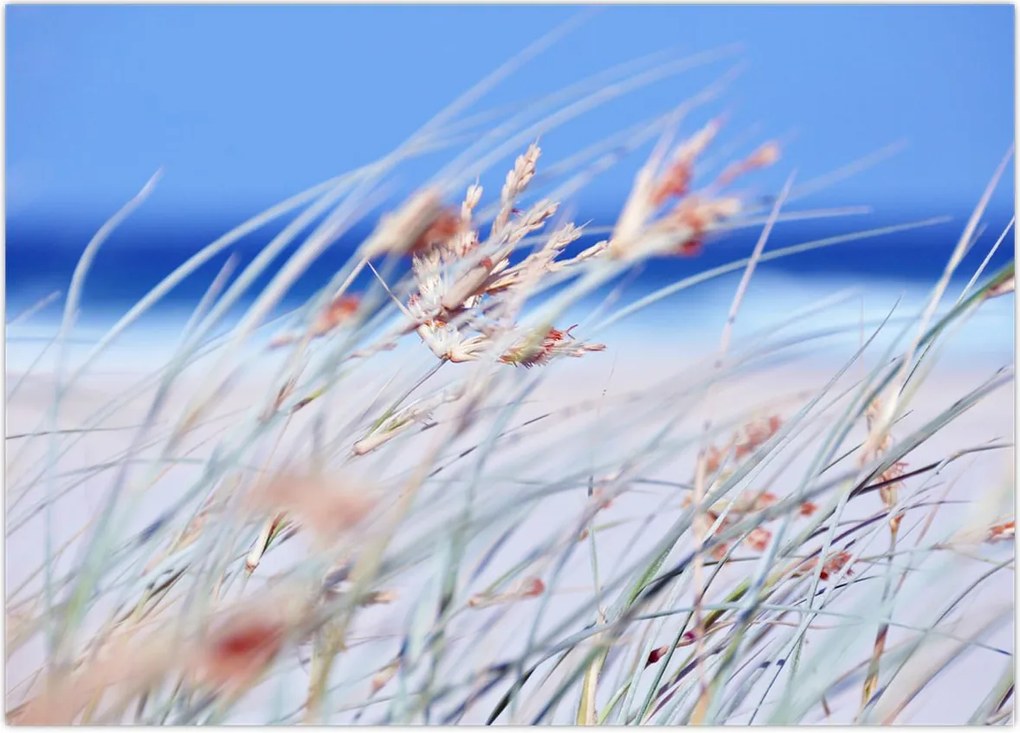 Tablou - Briză (70x50 cm)