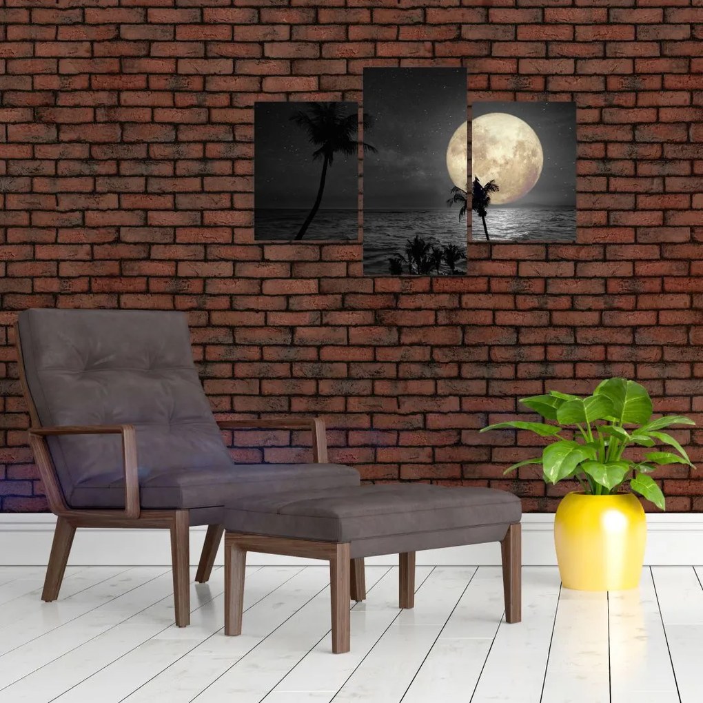 Tablou - Plaja cu lună plină, nuanțe gri (90x60 cm)