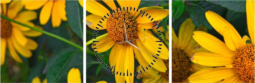 Tablou cu flori galbene (cu ceas) (90x30 cm)