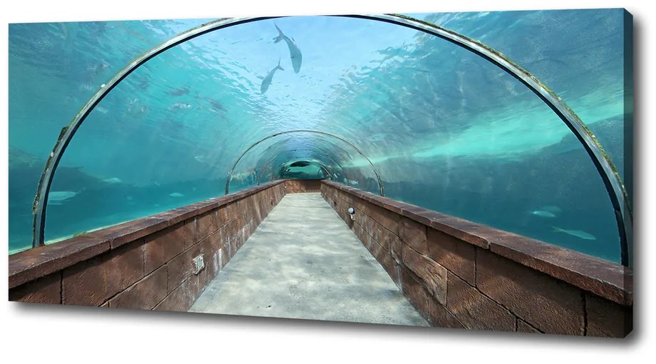 Pictură pe pânză Acvariul tunel