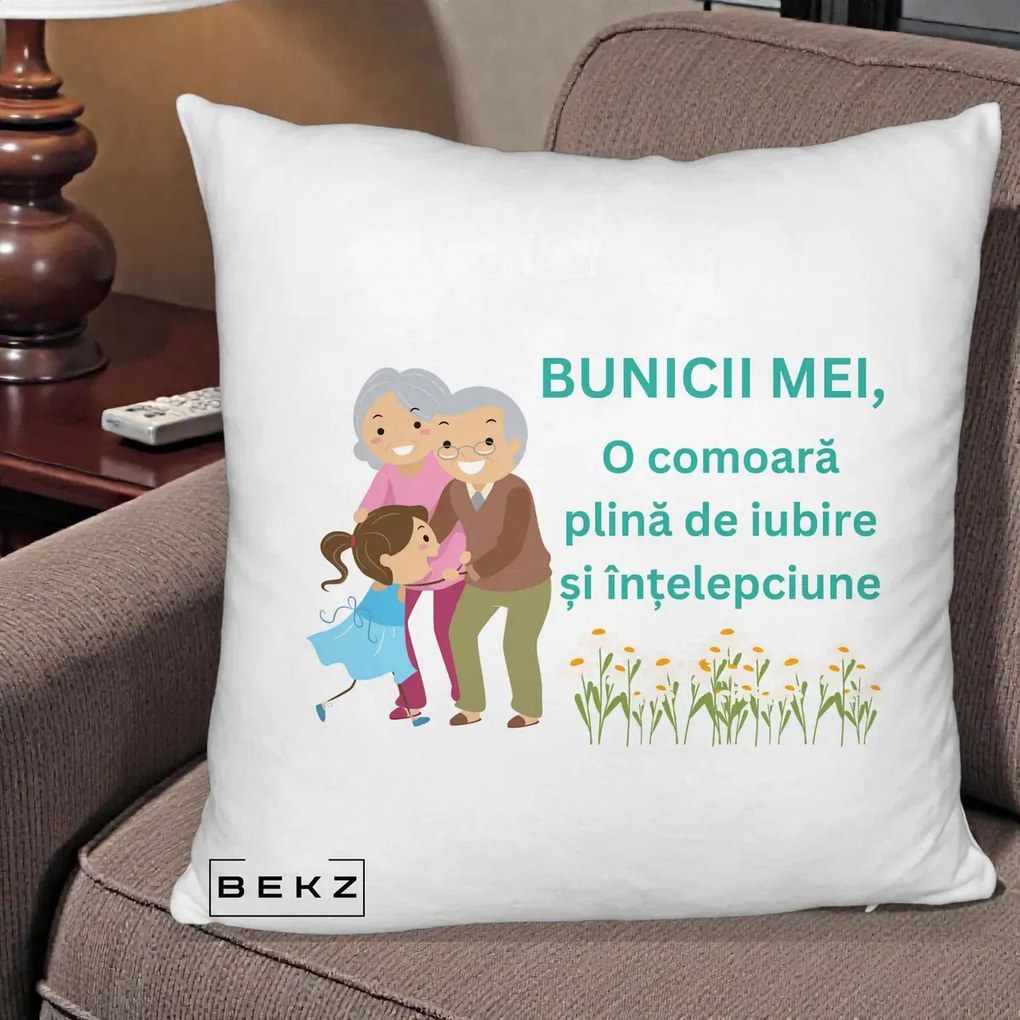 Cadou pentru Bunici - Perna Personalizata Bunicii Mei Comoara Iubire Intelepciune Nepoata, 40x40 cm, Alb Pufos, Husa Detasabila, Perna Inclusa, BEKZ®