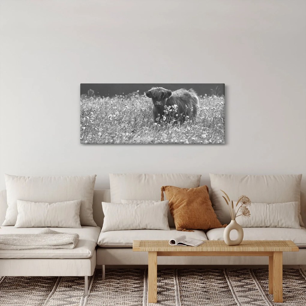 Tablou - Vacă scoțiană 5,alb-negru (120x50 cm)